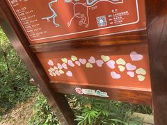 -武夷山风景名胜区-虎啸岩