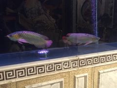 -万宝海鲜舫(劳动公园店)