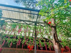 -贵长农家乐·北海湿地