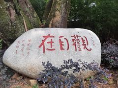 -峨眉山报国寺