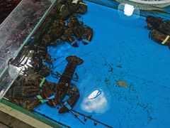 -王四营海鲜市场