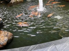 -惠州惠阳丽景国际花园酒店(市政广场店)