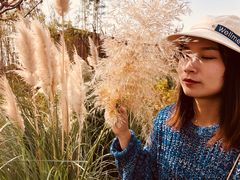 -盘龙城遗址博物院