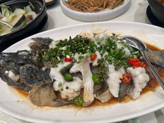 -满乐潮州(深业上城店)