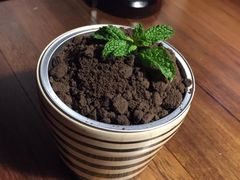 -新白鹿餐厅(西湖银泰店)