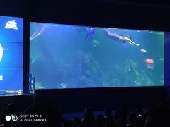 -重庆欢乐海底世界