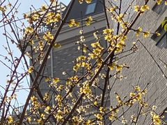 -证大大拇指广场(芳甸路店)