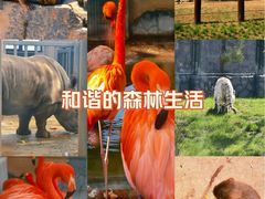 -太原动物园