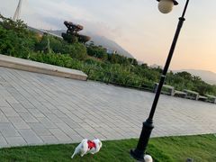 -芒洲湿地公园