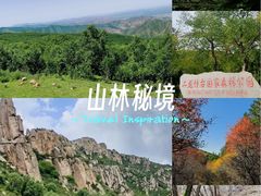 -江苏三台山国家森林公园
