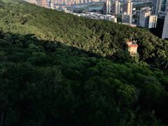 -狐尾山公园