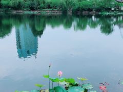 -无锡蠡湖国家湿地公园-蠡园