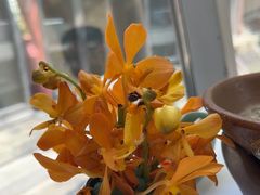 -止观小馆·辽河口渔家菜(王府井店)