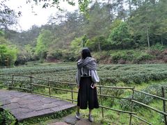 -武夷山风景名胜区-虎啸岩