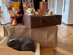 -Me Coffee下午茶艺术空间