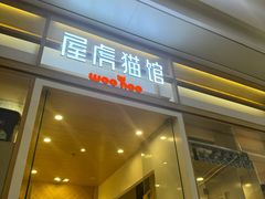 -屋虎猫馆(宝安大仟里店)