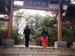 -阳台山自然风景区