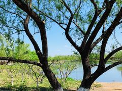 -永定河休闲森林公园