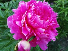 -长春公园(普阳街道)