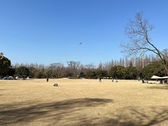 -上海滨江森林公园