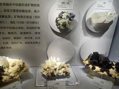 -湖南省地质博物馆