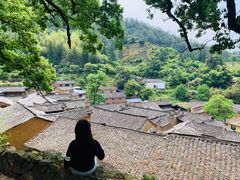 -杨家堂村
