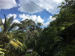 -清迈丛林飞跃 JungleFlight