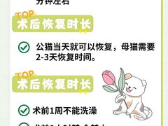 -博特宠物医院24h犬猫全科.骨科·异宠
