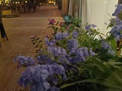 -小茶闲舍·观景商务茶馆(广州塔店)