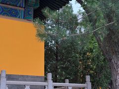-挂甲禅寺