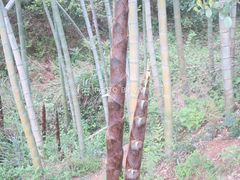 -梅岭月亮湾山体公园