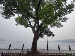 -西湖天地