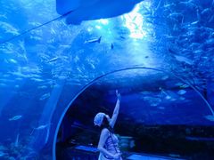 -海合安成都极地海洋公园