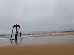 -日照海滨国家森林公园