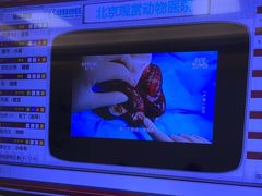 -北京观赏动物医院·24小时大型综合·猫专科·异宠专科