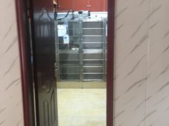 -宠颐生贝利健动物医院(谢家湾分院)