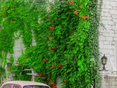 -华谊兄弟（长沙）电影小镇