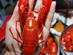 -0574龙虾的故事(东裕店)