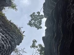 -梭布垭石林景区