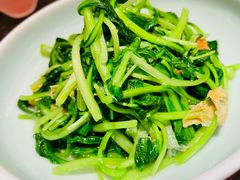 邹山腐皮鸡毛菜-竹外桃花·江南小酒馆(SKP·S店)