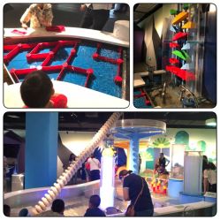 -北京科学中心儿童乐园