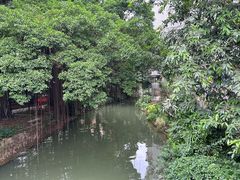 -小洲村
