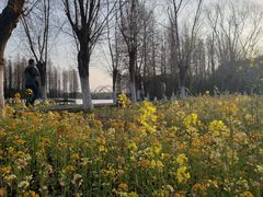 -艾溪湖湿地公园