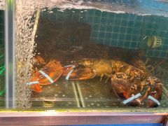 -船奇蒸汽海鲜·闽菜(八市海鲜总店)