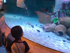 -沈阳海洋探索中心