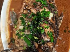 -阿巧茶庄