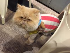 -小时光咖啡馆(开森度假森林店)