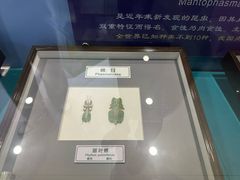 -上海昆虫博物馆