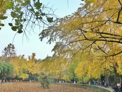 -四川大学(华西校区)