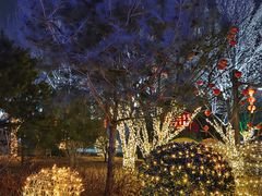 -南宫五洲植物乐园